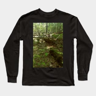 Velociraptors in Nature Long Sleeve T-Shirt